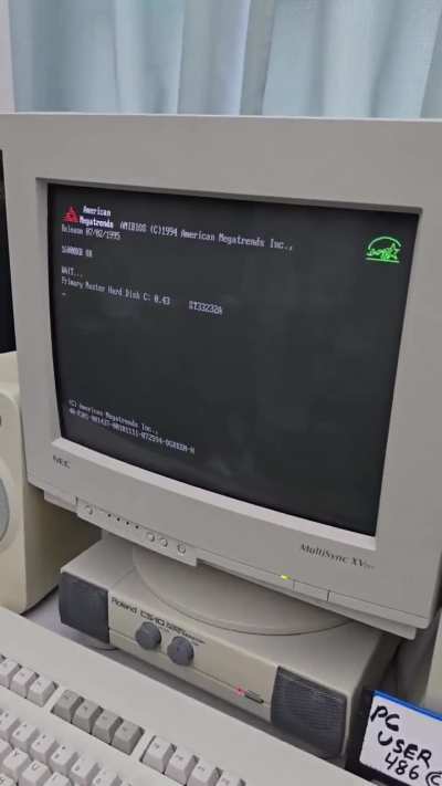 Starting Windows 3.1 in 1994