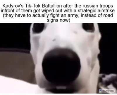 Well maybe their cool propaganda videos will help them