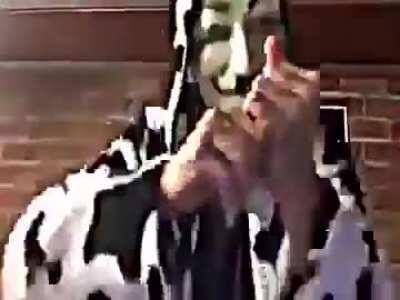 Synapse users when they get blacklisted