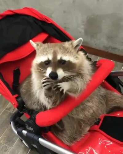 Ma'am, your baby is very cute