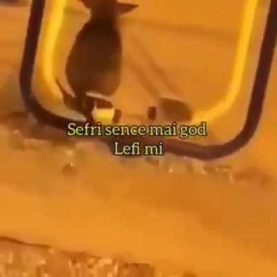 Melhor vídeo q vcs irão ver hj!!