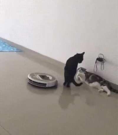 Straight out of the Tom and Jerry playbook