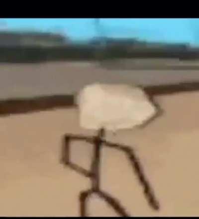 Trolled ahahahahahah ahah