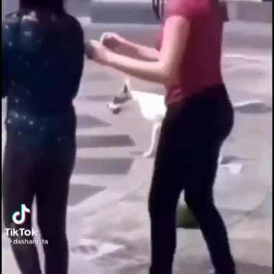 I was gonna post a meme where some dude smooches a Hinata cutout, but I got traumatized from it and they said a naughty word, so no :) anyways what the dog doin