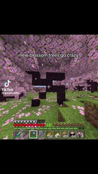 Biyin: quiero esa semilla de Minecraft 🥰🥰