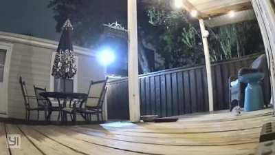 A new baby has shown up! 😍 Quick little thing