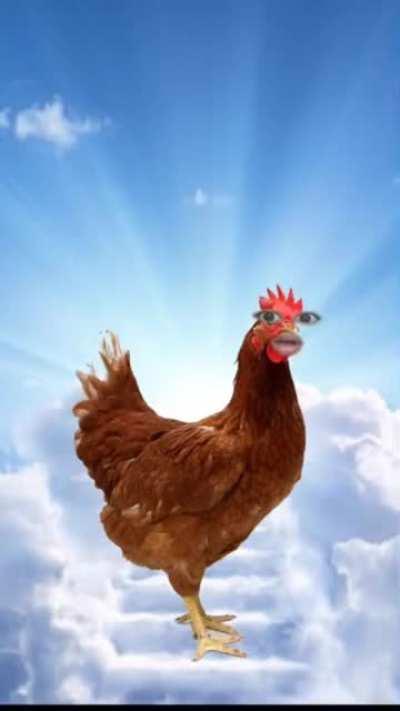 What a beautiful view!