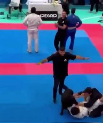 Good boy protects owner during a match