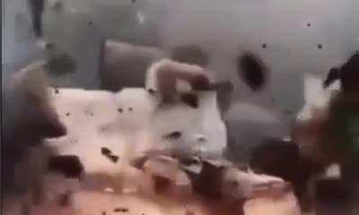 ever farted on a metal chair