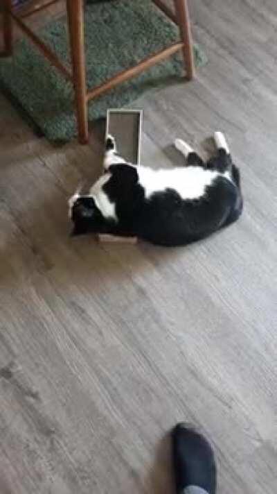 I caught my roommate doing drugs again. Uploading this for legal purposes.