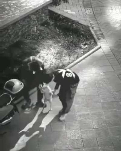 just a couple homies