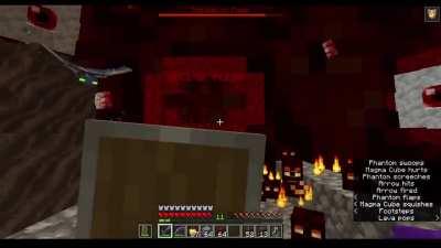 Wall of Flesh but in Minecraft