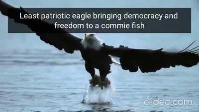 Another fish has been freed from the tyrannical waters