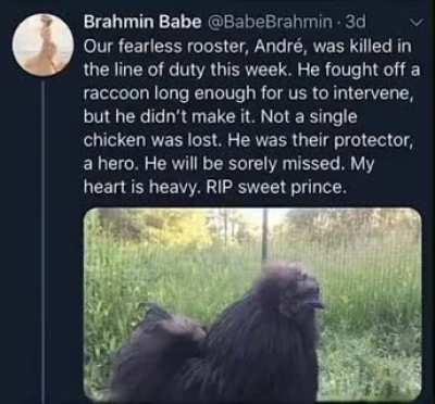 Salute the fallen. Pray the fallen. And also… thank the fallen..