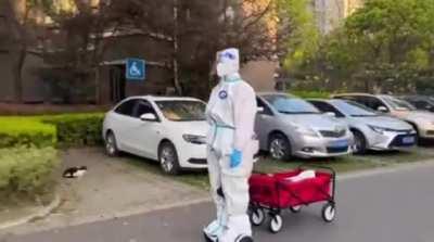 During Shanghai Lockdown