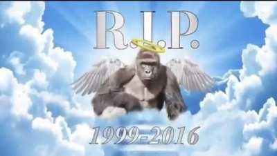 5 years 🙏😭🤧🕊