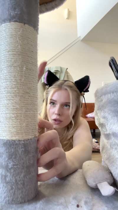 You have a unique opportunity to watch a kitty 🐾🐾