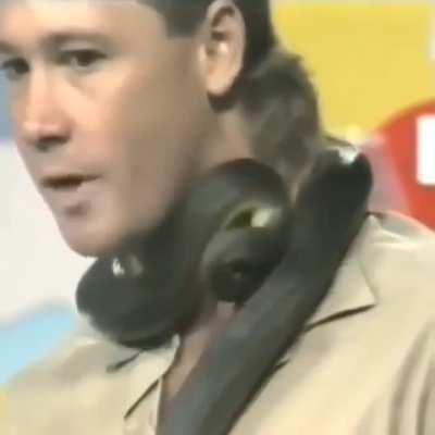 Steve Irwin doesn't flinch when a snake bites him