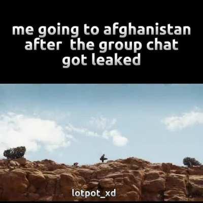 🐱🐱🕺🕺🐱🐱