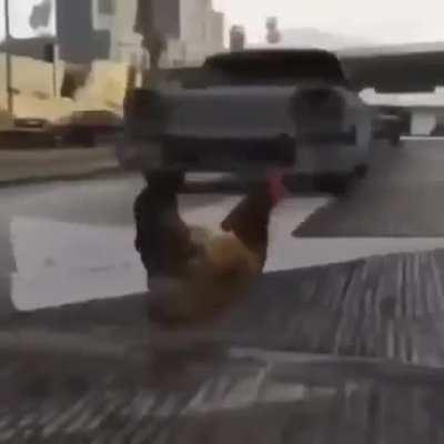 The chicken didn't cross the road :'(