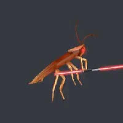 Is this one acceptable?