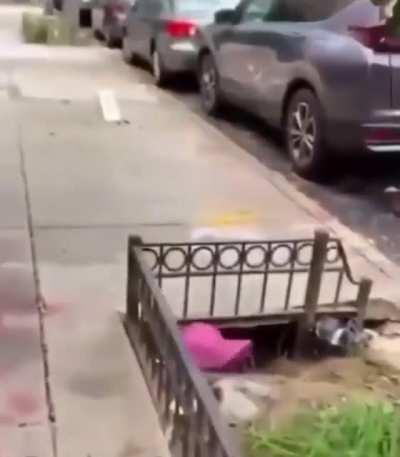 New York City be like: