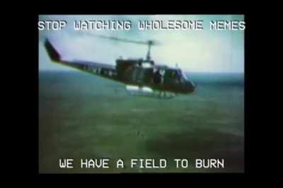 what happens in my brain on rising storm