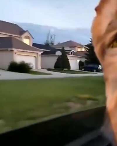 Poor girl loses her ball