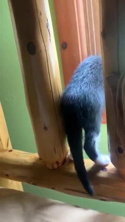 This is the only sill in the house that is smaller, I should have told him