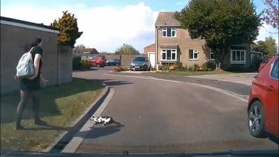 The price of passage is scritches and pets