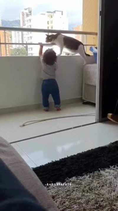 Cat protects it's little human on a balcony