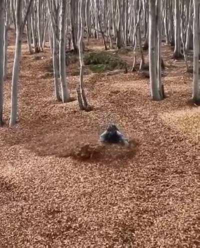 So when physics teachers say friction is negligible, this what they mean