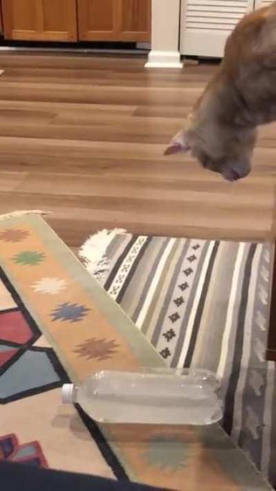 This is why we can’t have beverages in cups