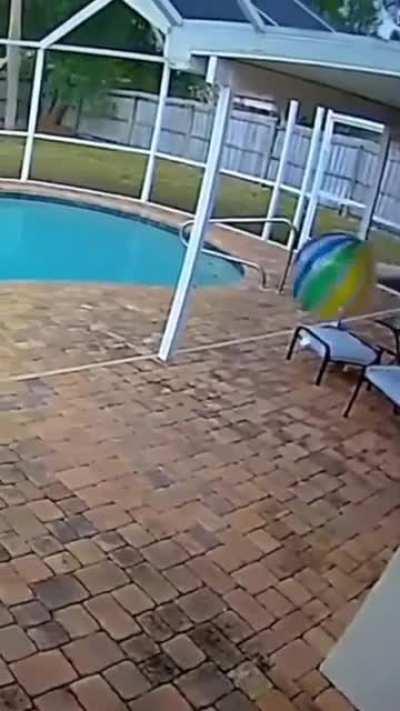 My ball people need me