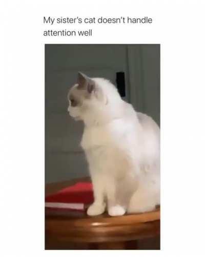 Ловкость пантеры