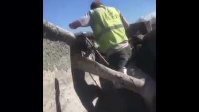 POV: you’re on lunch break