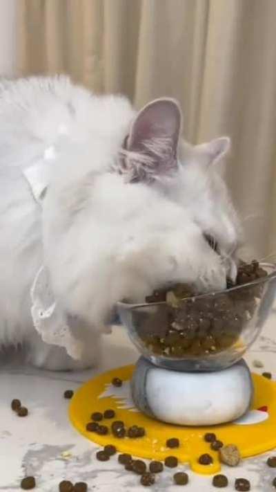 When someone says you can have only one bite