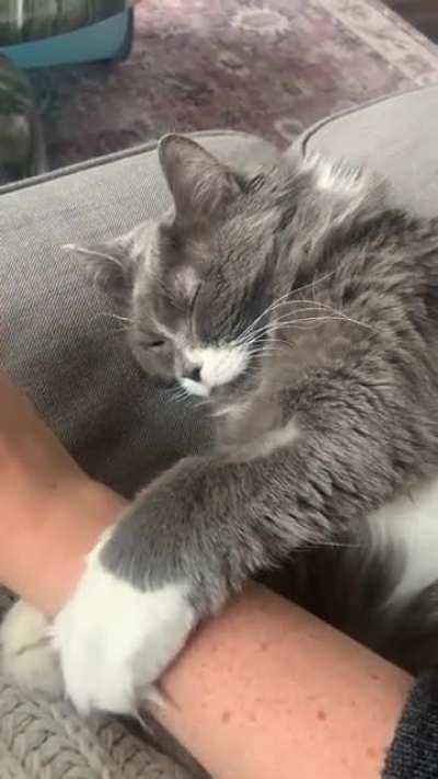 You think you can leave, human? Think again.