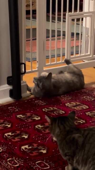 More “prison gate” shenanigans