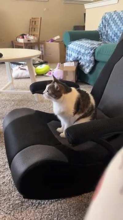 MOTHER, I REQUIRE ANIMATION