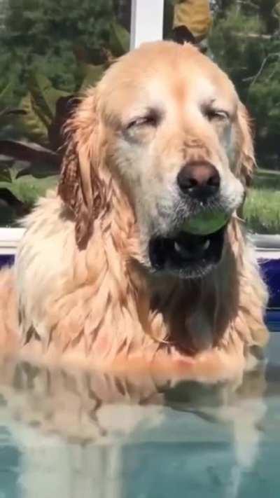 best boi livin best life