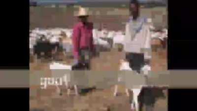 ቆንጆ ኢትዮጵያ የተንሸራታች ትዕይንት ትምህርት አስደሳች ትምህርት ይማራሉ ethiopia ምርጥ የአፍሪካ ሀገር download ፍርይ