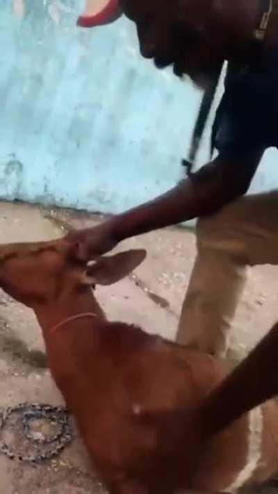 Welcome back in 2020!