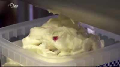 Me after some chicken vindaloo