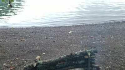 Autumn solo camp. 5 days of peace