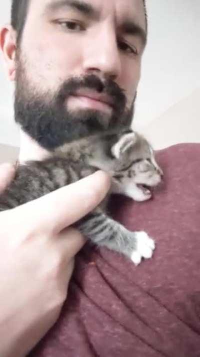 This little kitten is by far the loudest thing in our house