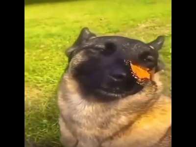 All cricket subs lately with no RCB, CSK & MI gang wars…