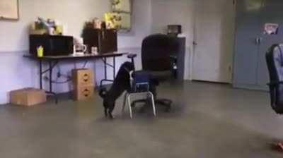 Thought this belonged here.