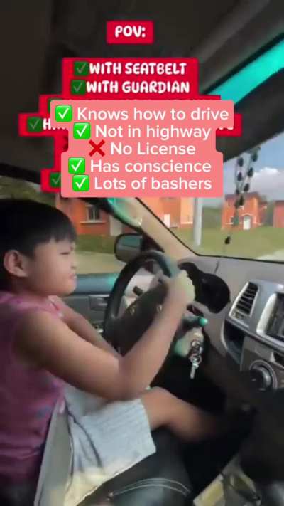 Vlogger Mom posted this as a response to people calling her out for letting her child drive