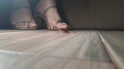 Goddess versus insect - pt. 2, you're insignificant compared to her